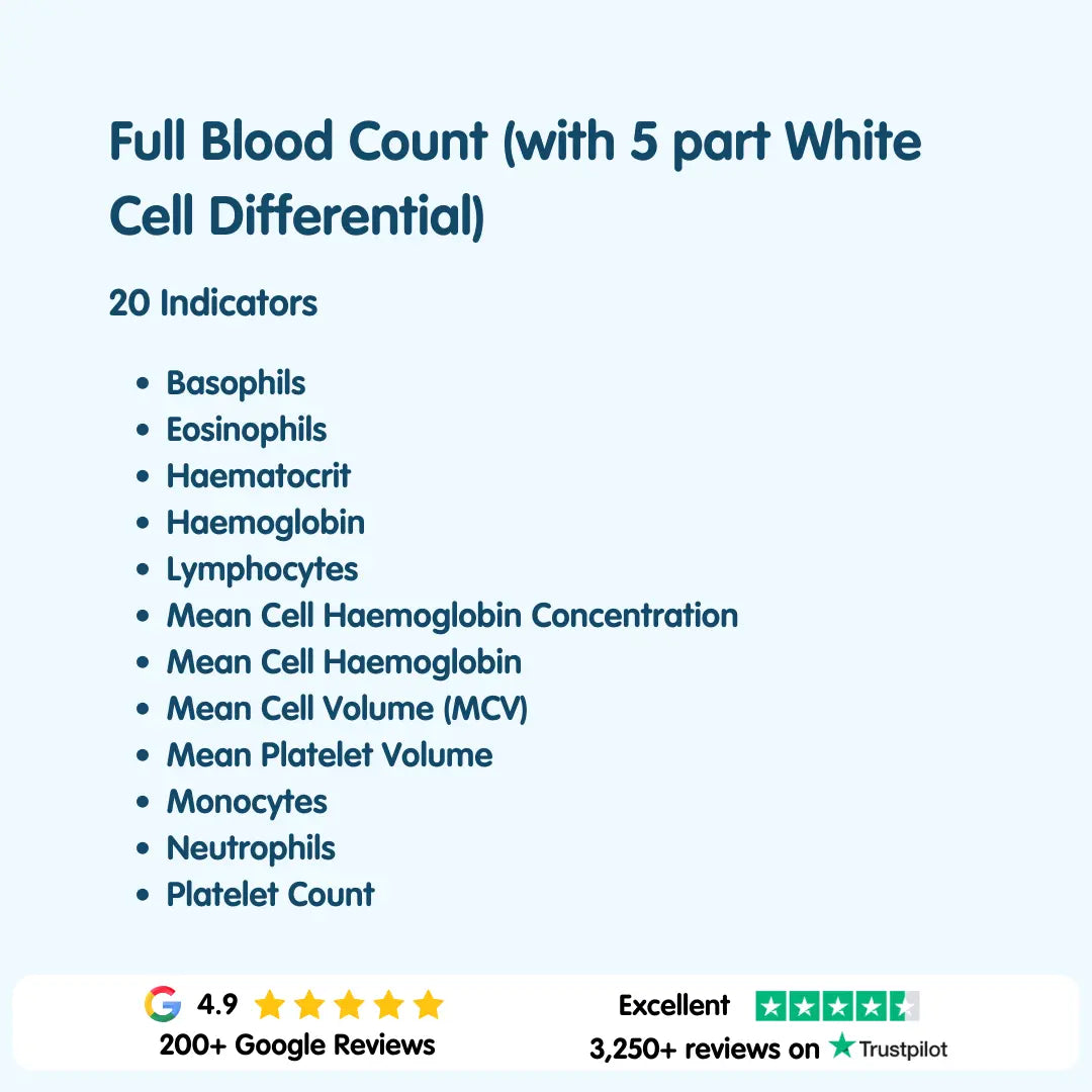 Full Blood Count Blood Test London Medical Laboratory