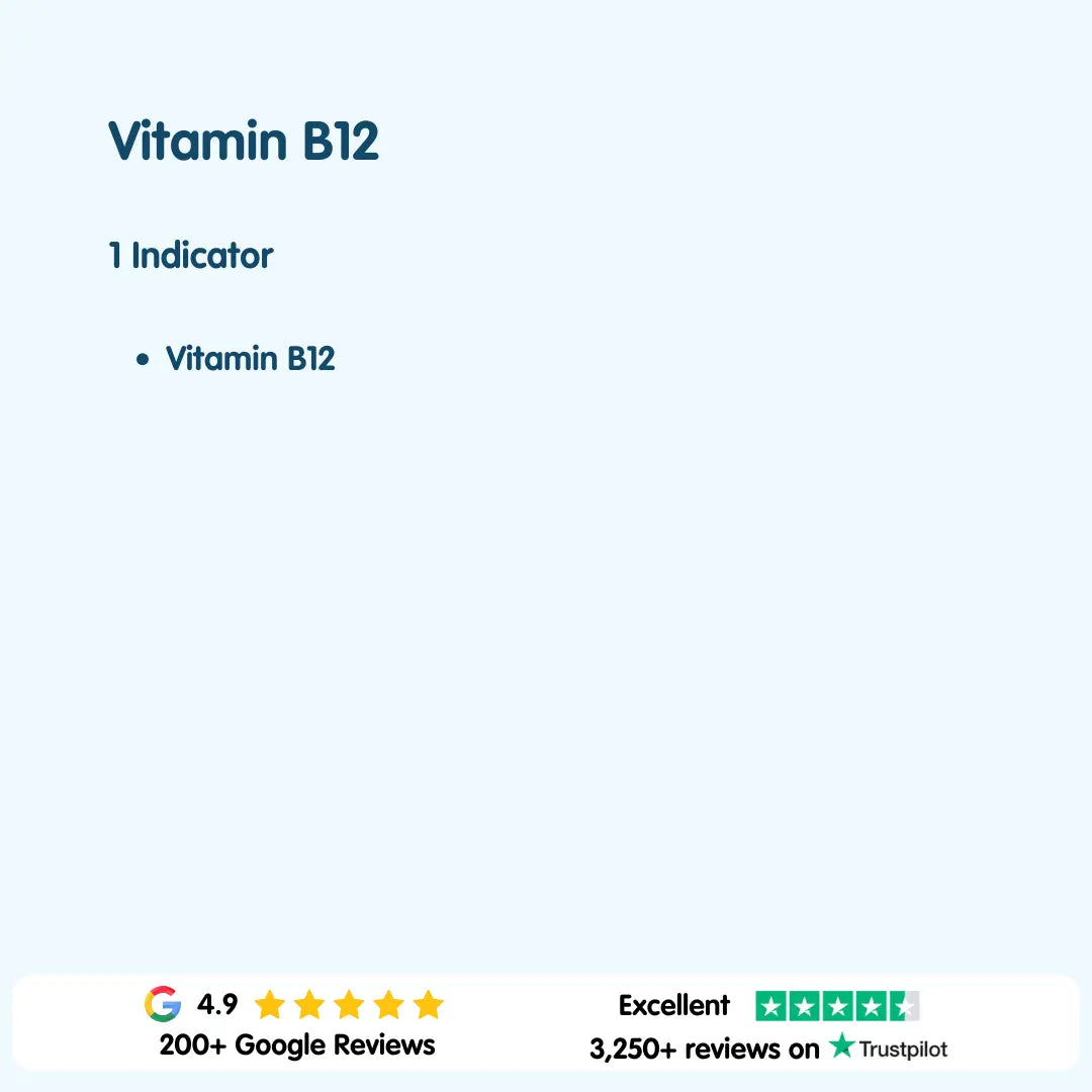 Vitamin B12 Blood Test London Medical Laboratory