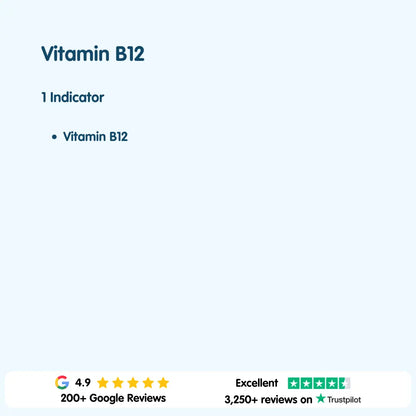 Vitamin B12 Blood Test London Medical Laboratory